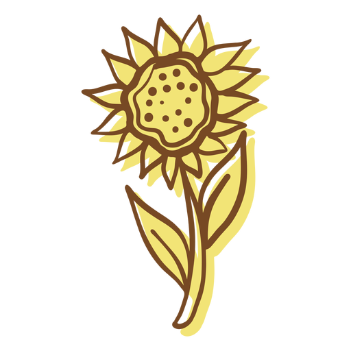 Hand drawn stroke sunflower PNG Design