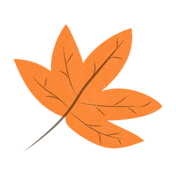 Ilustración de textura de hoja de arce Diseño PNG
