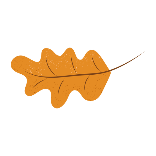 Strukturierte Illustration des Eichenblattes PNG-Design