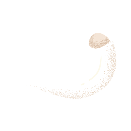 Ram horn white textured - Transparent PNG & SVG vector file