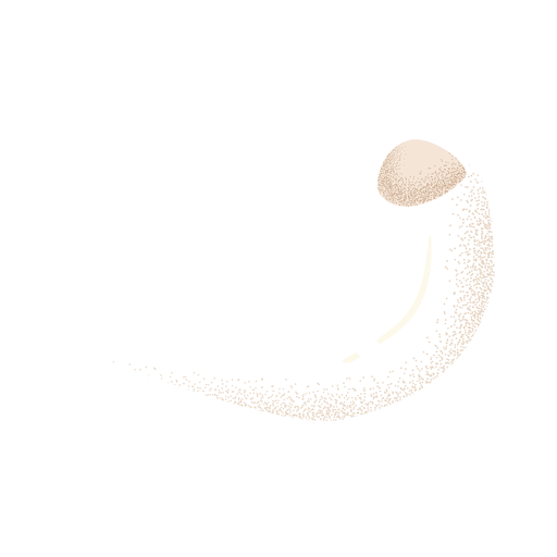 Ram horn white textured PNG Design