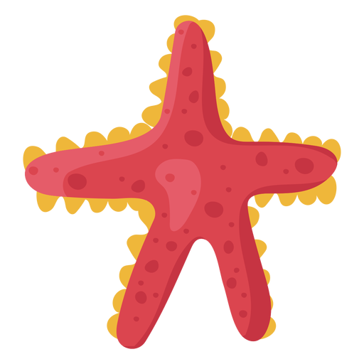 Red starfish illustration PNG Design
