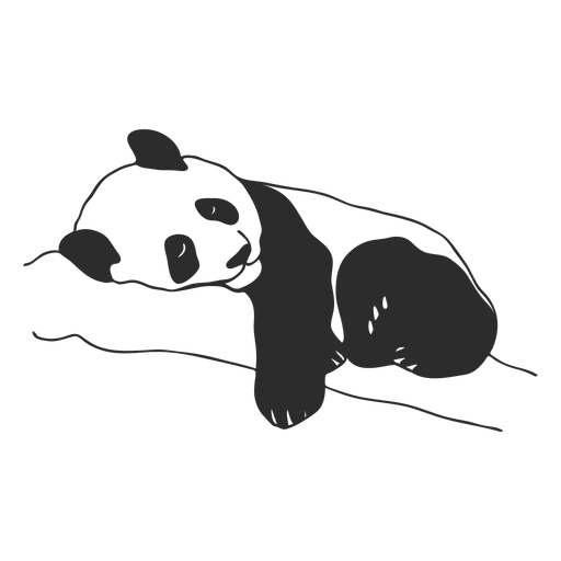 Dormindo panda Desenho PNG