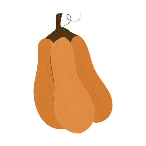 Ilustração texturizada de squash Desenho PNG