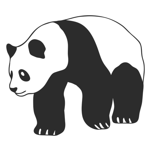 Curso de animal andando panda Desenho PNG