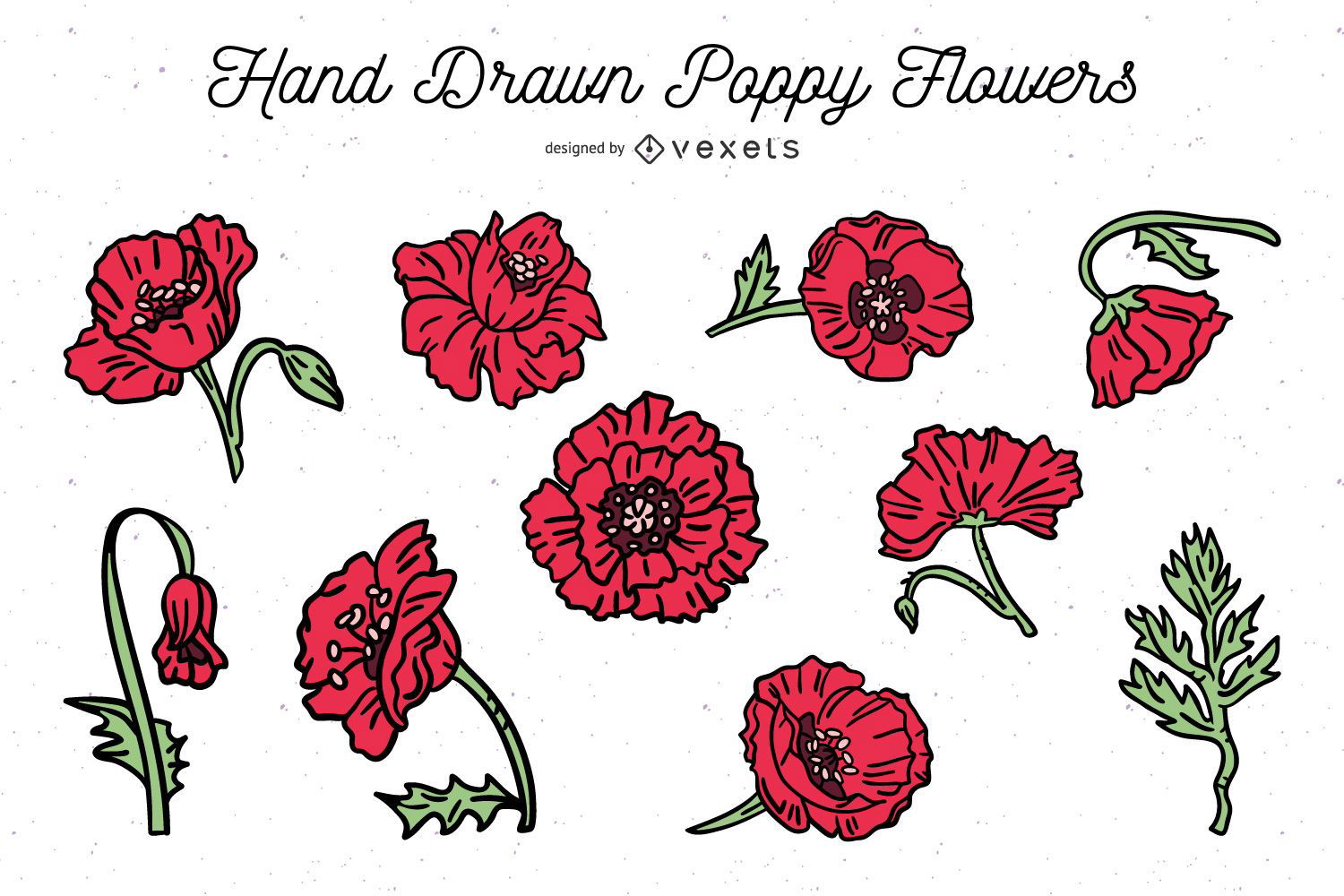 Hand Drawn Poppy Flower Pack