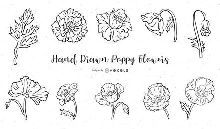 Conjunto de flores amapolas dibujadas a mano