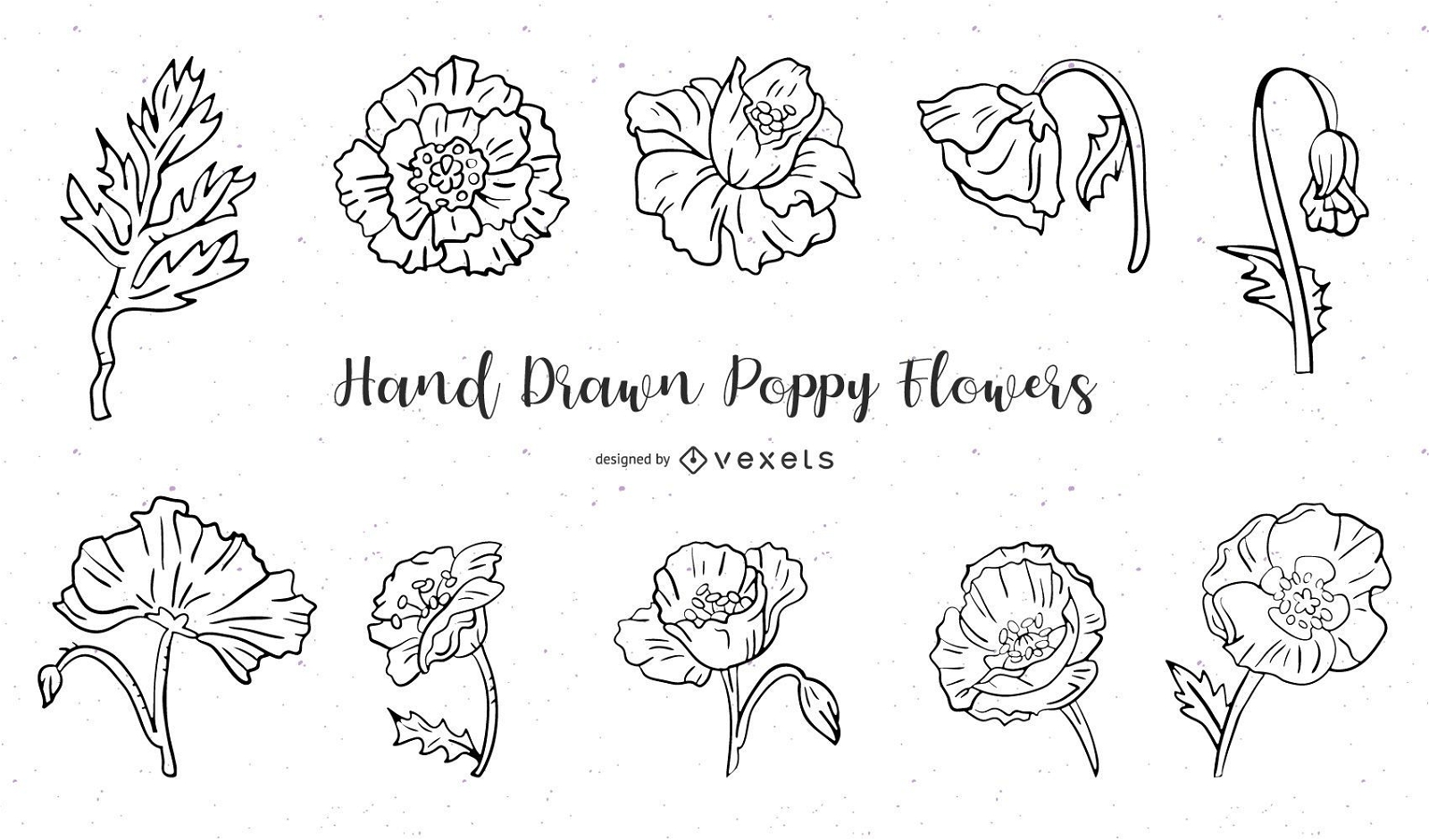Hand gezeichnete Mohnblumen gesetzt