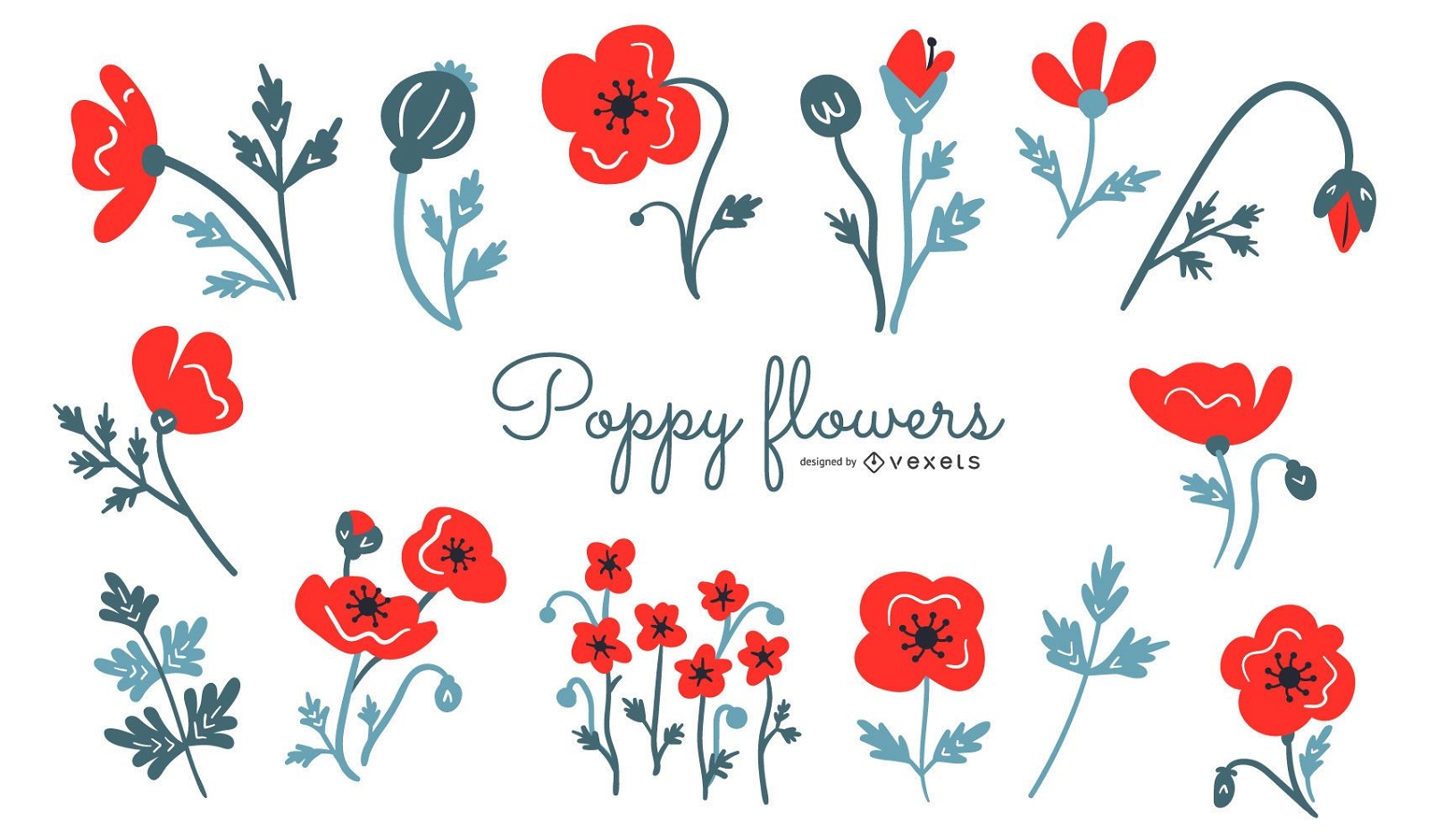 Poppy flowers illustration set