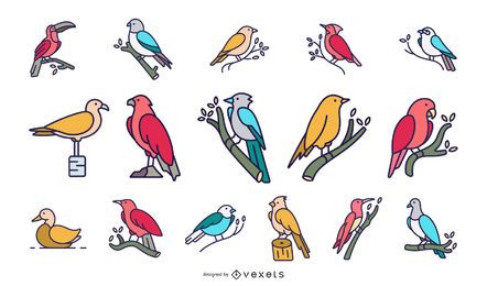 Colorful birds flat collection
