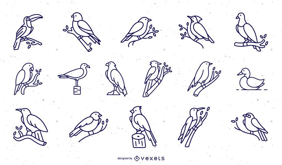 Birds stroke collection Birds stroke collection