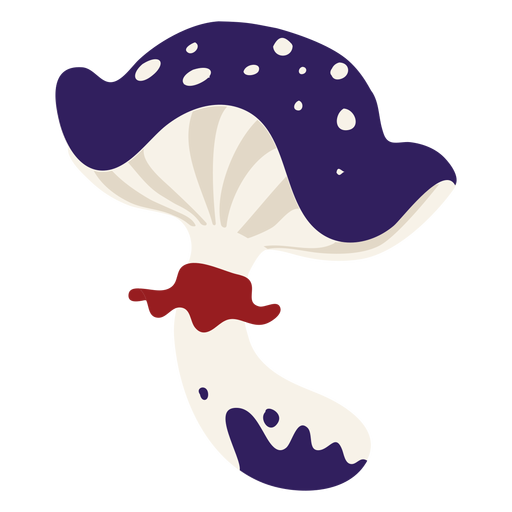Cogumelo mágico Desenho PNG