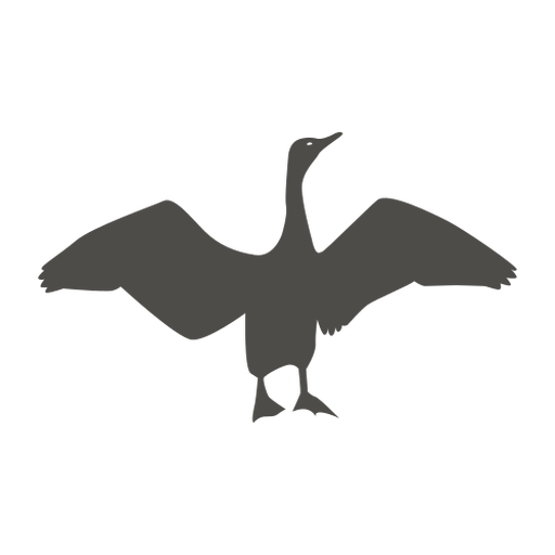 Silhueta de corvo-marinho batendo asas