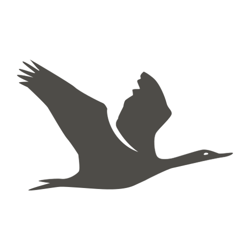 Cormorant flying silhouette PNG Design