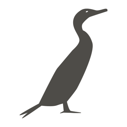 Cormorant standing silhouette PNG Design