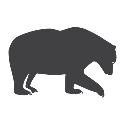 Urso da floresta com silhueta de urso Desenho PNG