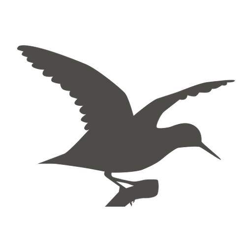 Sandpiper fliegende Silhouette PNG-Design