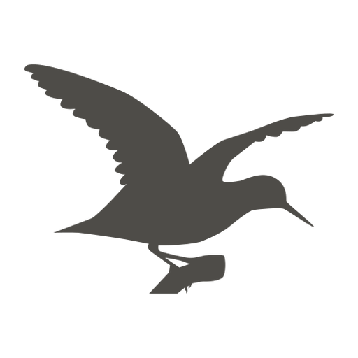 Sandpiper flying silhouette PNG Design
