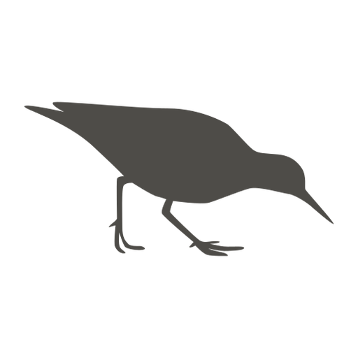 Sandpiper pecking silhouette PNG Design