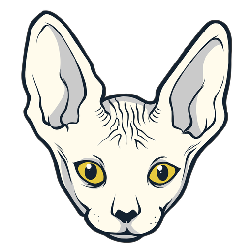 Cabeça de gato Sphynx desenhada à mão Desenho PNG