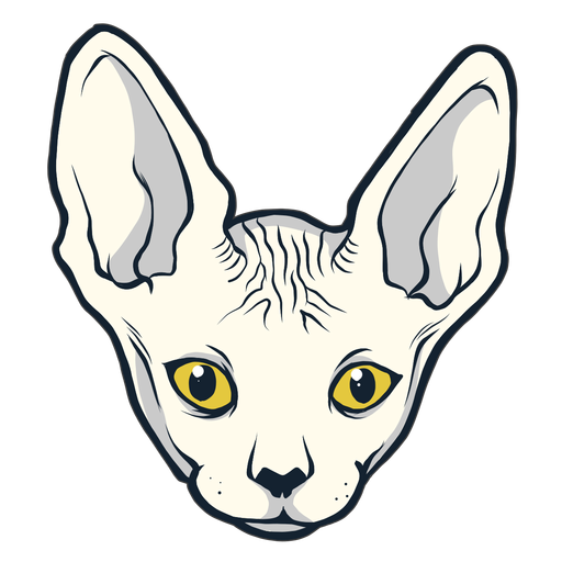 Dibujado a mano cabeza de gato Sphynx Diseño PNG