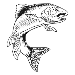 Peixe truta desenhado à mão Desenho PNG