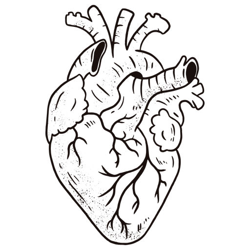 Awesome anatomical heart PNG Design
