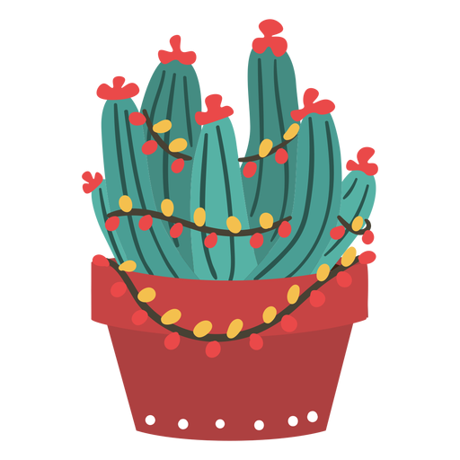 Cool christmas cactus