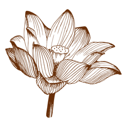 Flora flor simple Diseño PNG