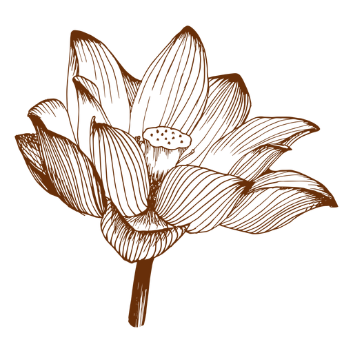 Flora Blume einfach PNG-Design