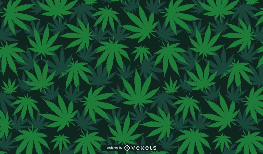 Diseño de fondo de hoja de cannabis Diseño de fondo de hoja de cannabis