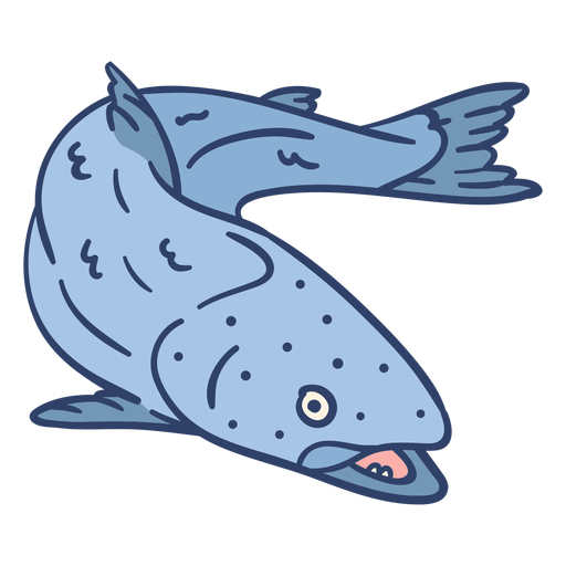 Download Arctic fish illustration - Transparent PNG & SVG vector file