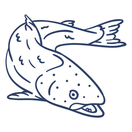 Download Arctic fish stroke - Transparent PNG & SVG vector file