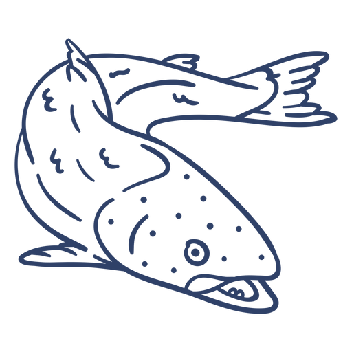 Arctic fish stroke PNG Design