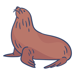 Ilustração da foca ártica Desenho PNG