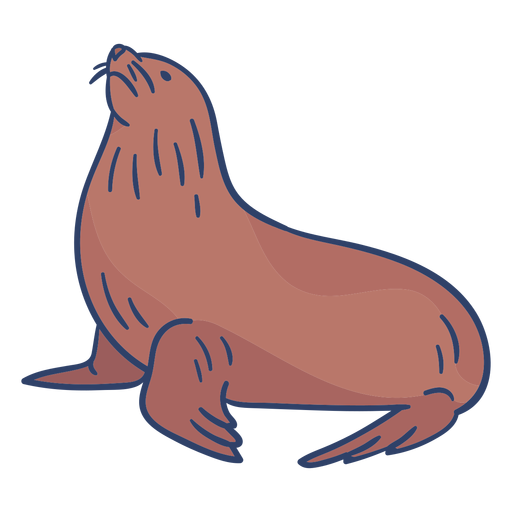 Arctic seal illustration PNG Design