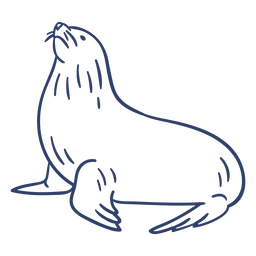 Traço de foca ártica Desenho PNG