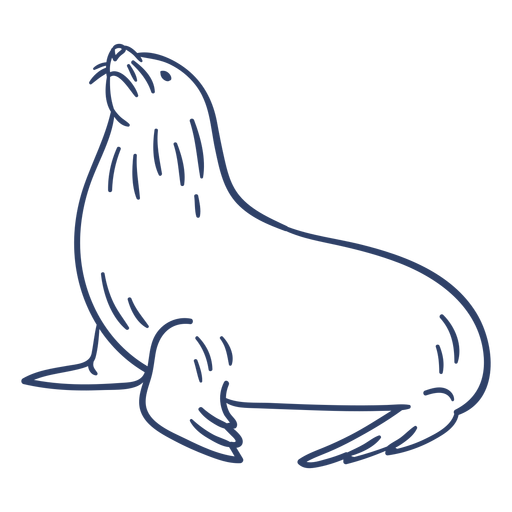 Traço de foca ártica Desenho PNG