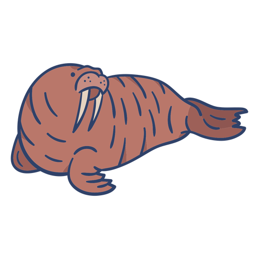 Arctic walrus illustration