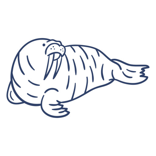 Arctic walrus stroke PNG Design