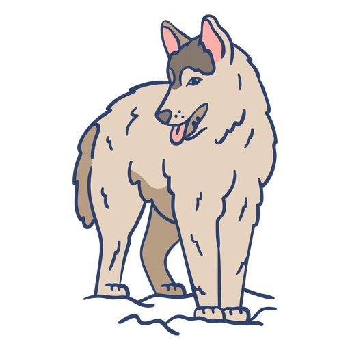 Arktischer Wolf Illustration PNG-Design
