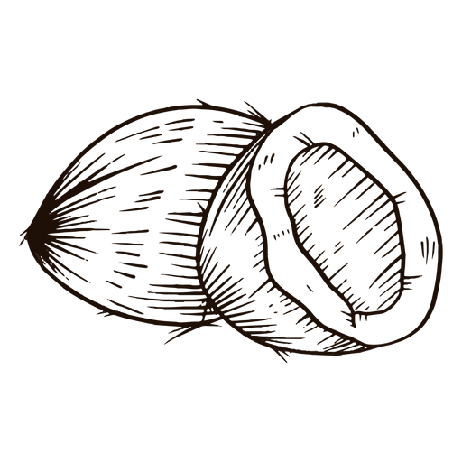 Kokosnuss Hand gezeichnet PNG-Design