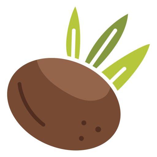 Kokosnuss-Symbol PNG-Design