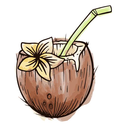 Download Coconut With Straw Watercolor Transparent Png Svg Vector File