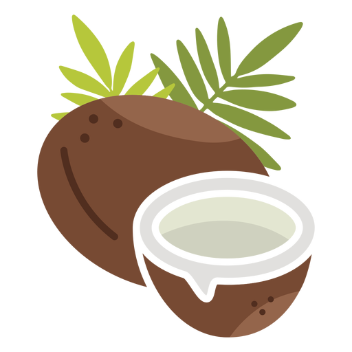 Coconuts icon PNG Design