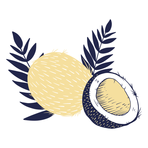 Coconuts with leaves PNG Design