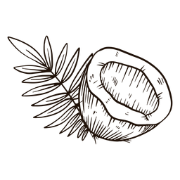 Corte de coco desenhado à mão Desenho PNG