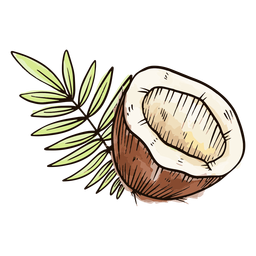 Corte a aquarela de coco Desenho PNG