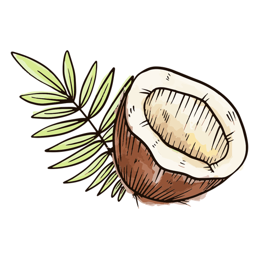 Cut coconut watercolor PNG Design