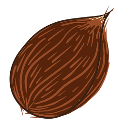 Doodle de coco Diseño PNG